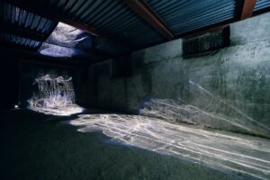 Emanuele Caprioli - Acquilunio