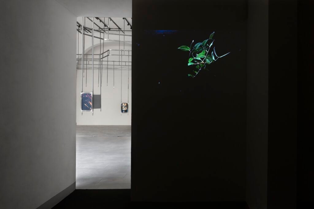 Andro Eradze, Bones of Tomorrow, Firenze, 2025. Exhibition views, Ex-Teatro dell&rsquo;Oriuolo, IED Firenze. &copy;ElaBialkowska, OKNOstudio. Courtesy SpazioA Pistoia