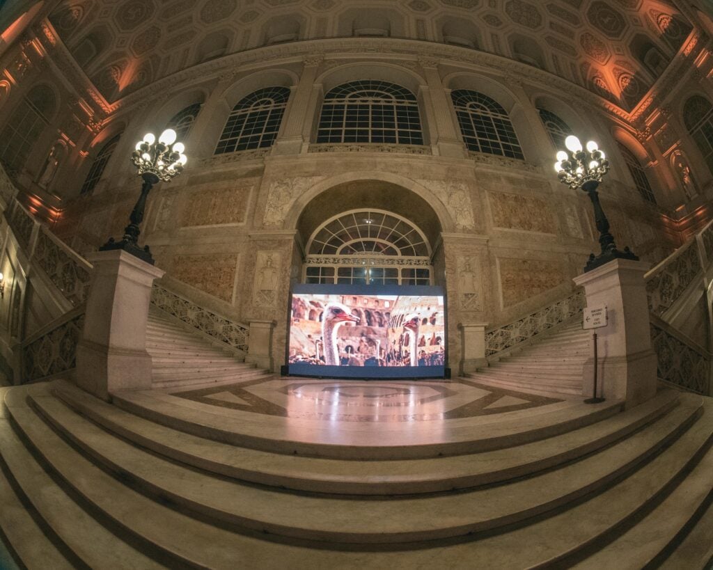 Angelo Accardi in collaborazione con Parallelia, Odissea, installation view Palazzo