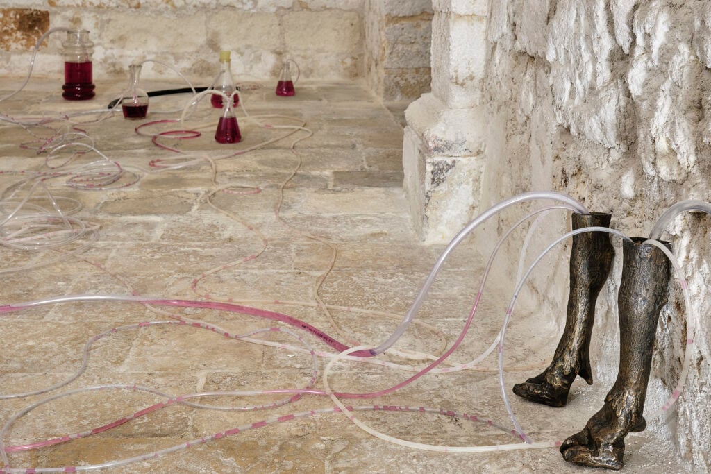 Cinque artisti emergenti intervistati dal grande artista Roberto Cuoghi. Secondo dialogo con Angelo Iodice 