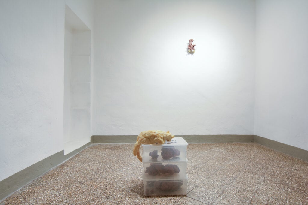 Bekhbaatar Enkhtur, Tempra, installation view a IE edificio 57, San Gimignano, 2025