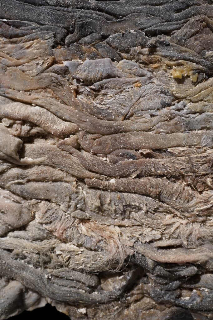 Berlinde De Bruyckere, Nijvel I, dettaglio. Courtesy RARE, l'artista e Galleria Continua