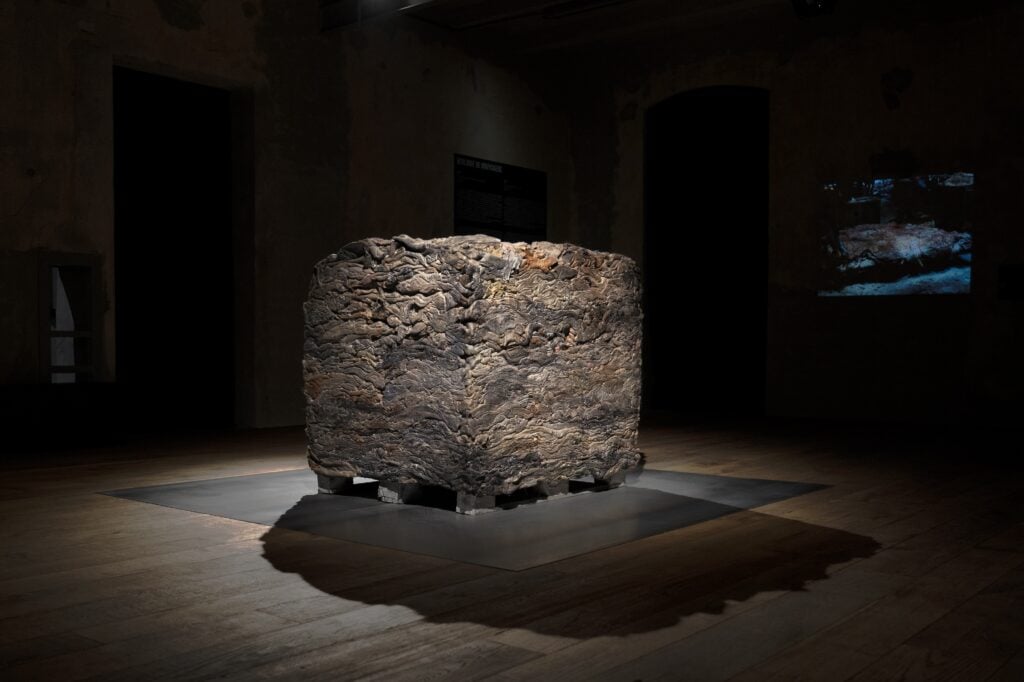 Berlinde De Bruyckere. Strati di pelle e coreografie della violenza nella sua mostra a Trissino 