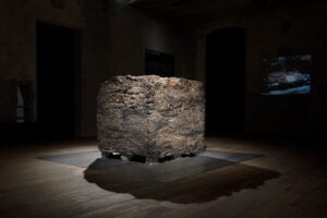 Berlinde De Bruyckere. Strati di pelle e coreografie della violenza nella sua mostra a Trissino 