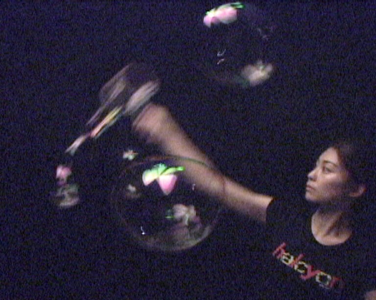 Butterfly, installazione interattiva, 2004