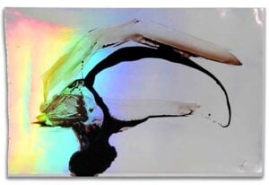 Candida Ferrari - Luce