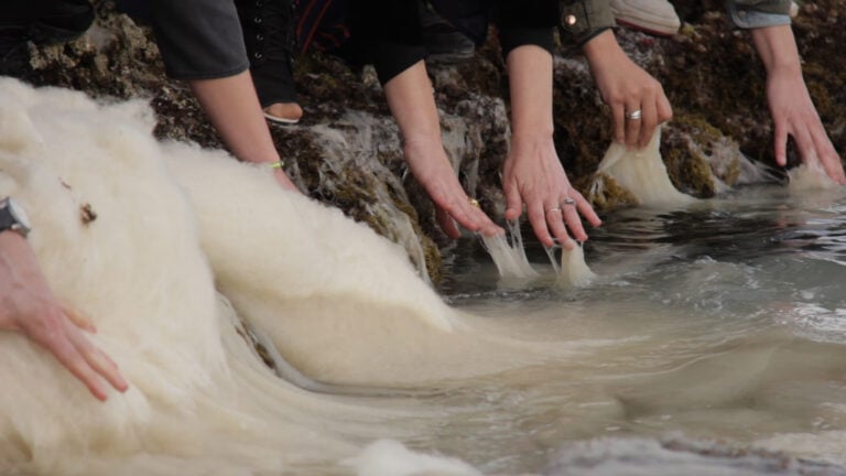 Tutte le mostre del 2026 e del 2027 al Pirelli HangarBicocca di Milano. Grandi eventi, sempre gratis