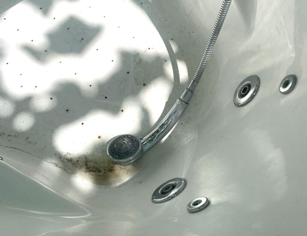 Charlotte Thrane – Everest Life