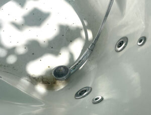 Charlotte Thrane - Everest Life