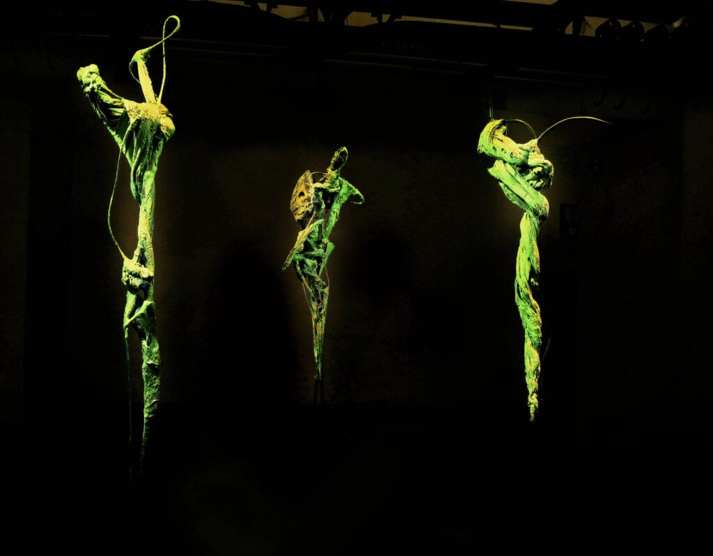 Claudio Palmieri – Apparizioni