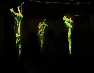 Claudio Palmieri - Apparizioni