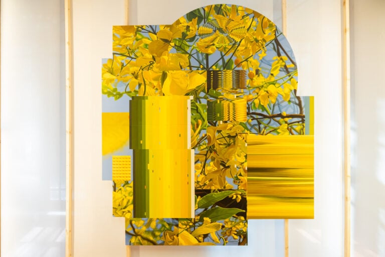 Nuova Deli, Interno indiano