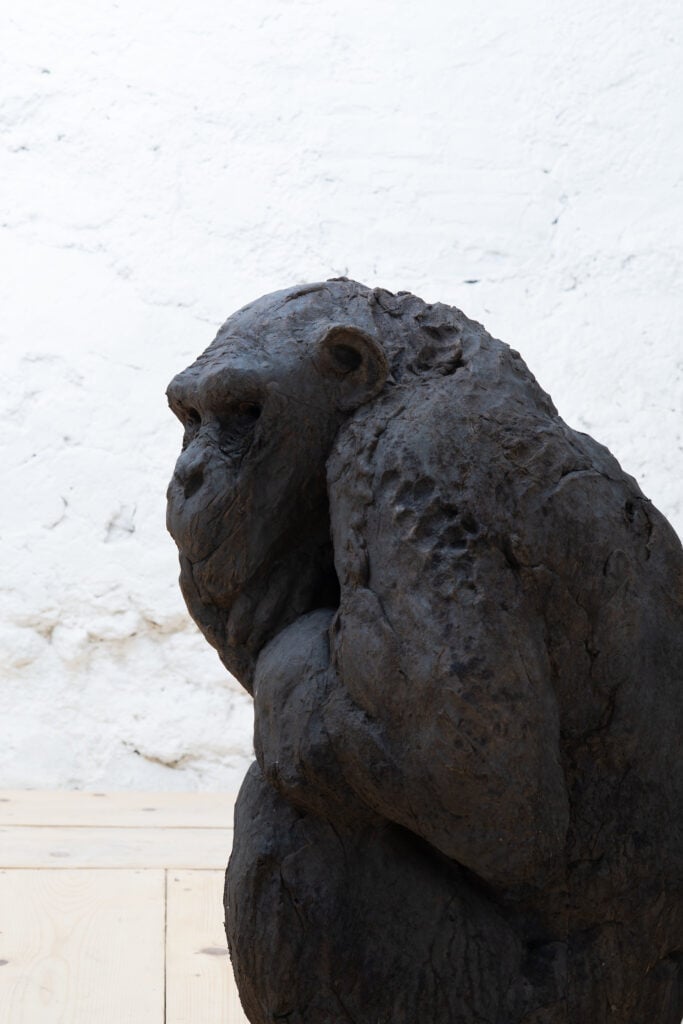 Davide Rivalta, Chimpanzee, installation view a IE edificio 57, San Gimignano, 2025