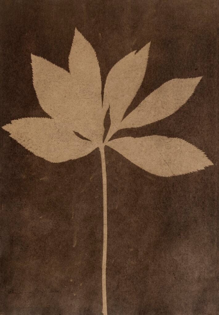 Alessandra Calò / Sergio Ferri – Sillabari d’Appennino