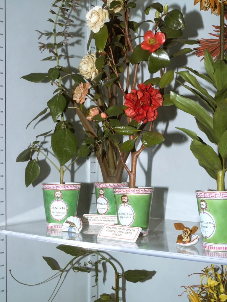 Erbario Centrale. Modelli botanici in cera &copy; Armin Linke, 2022