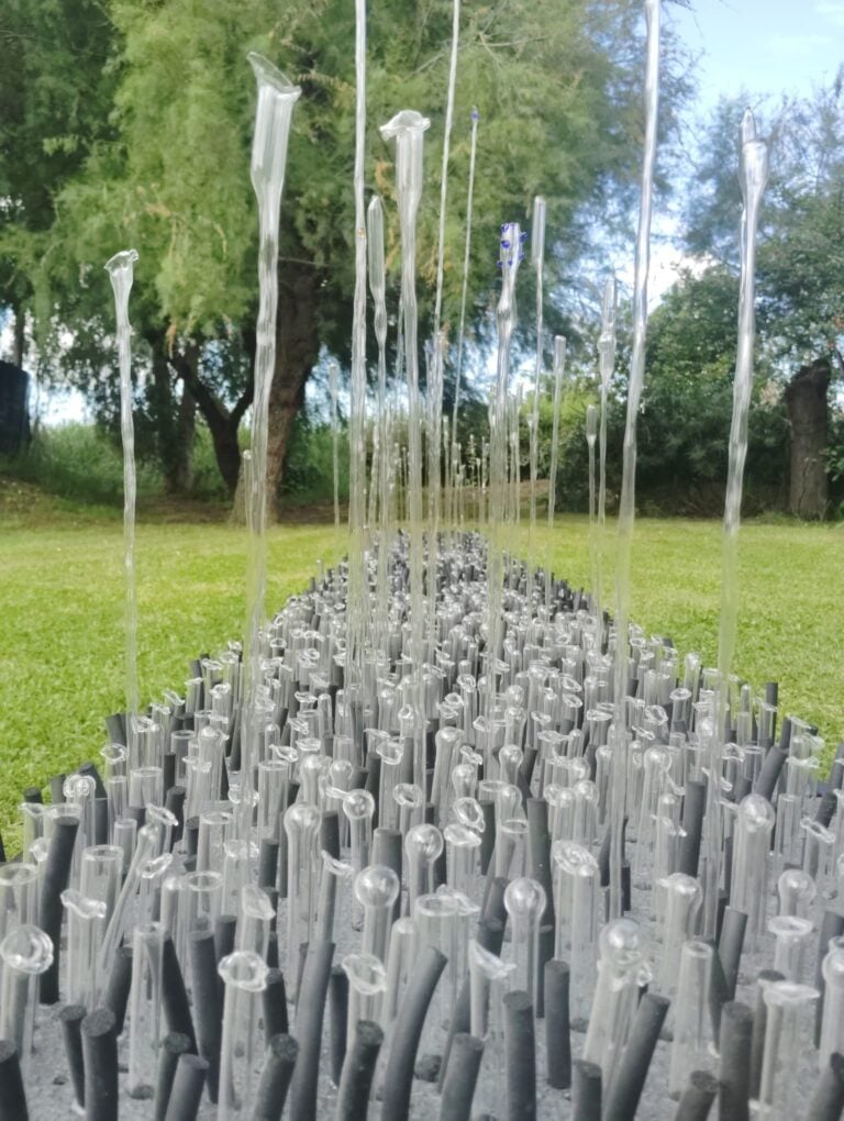 Fabio Sciortino, Contaminato, 2025 - Oasi Lipu Massaciuccoli