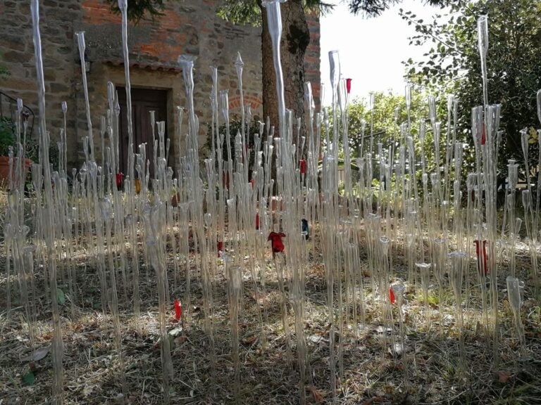 Fabio Sciortino, Contaminazioni, 2023 - Museo Oddi Ricci, Piacenza