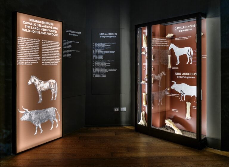 Installation view LABORATORIO NEANDERTHAL. Le scoperte di Grotta Guattari. MUCIV-Museo delle Civilt&agrave;, Roma. Foto Giorgio Benni