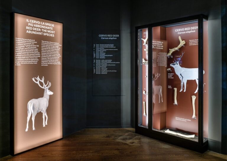 Installation view LABORATORIO NEANDERTHAL. Le scoperte di Grotta Guattari. MUCIV-Museo delle Civilt&agrave;, Roma. Foto Giorgio Benni