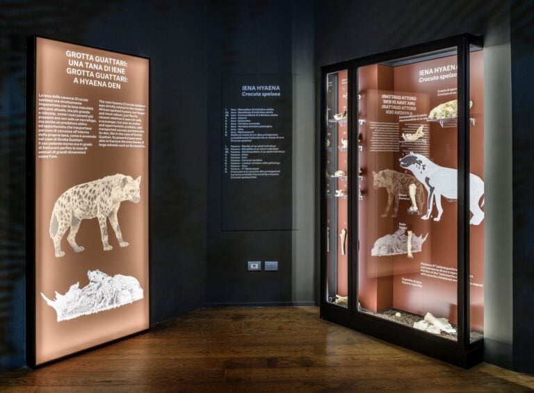 Installation view LABORATORIO NEANDERTHAL. Le scoperte di Grotta Guattari. MUCIV-Museo delle Civilt&agrave;, Roma. Foto Giorgio Benni