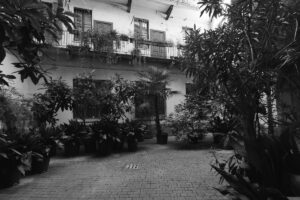 Viafarini Open Studio