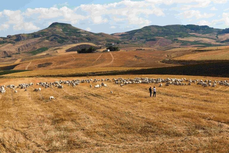 Il Feudo Mondello immerso nella campagna del Belice