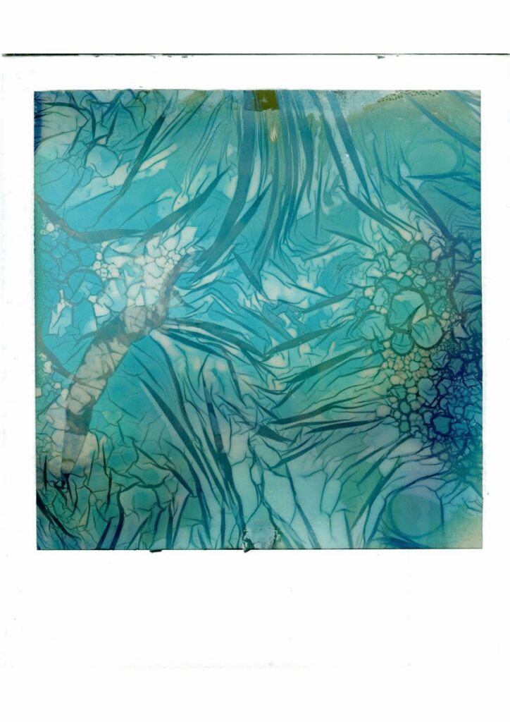 Francesco Algeri – Khrôma: Paesaggi Immaginari