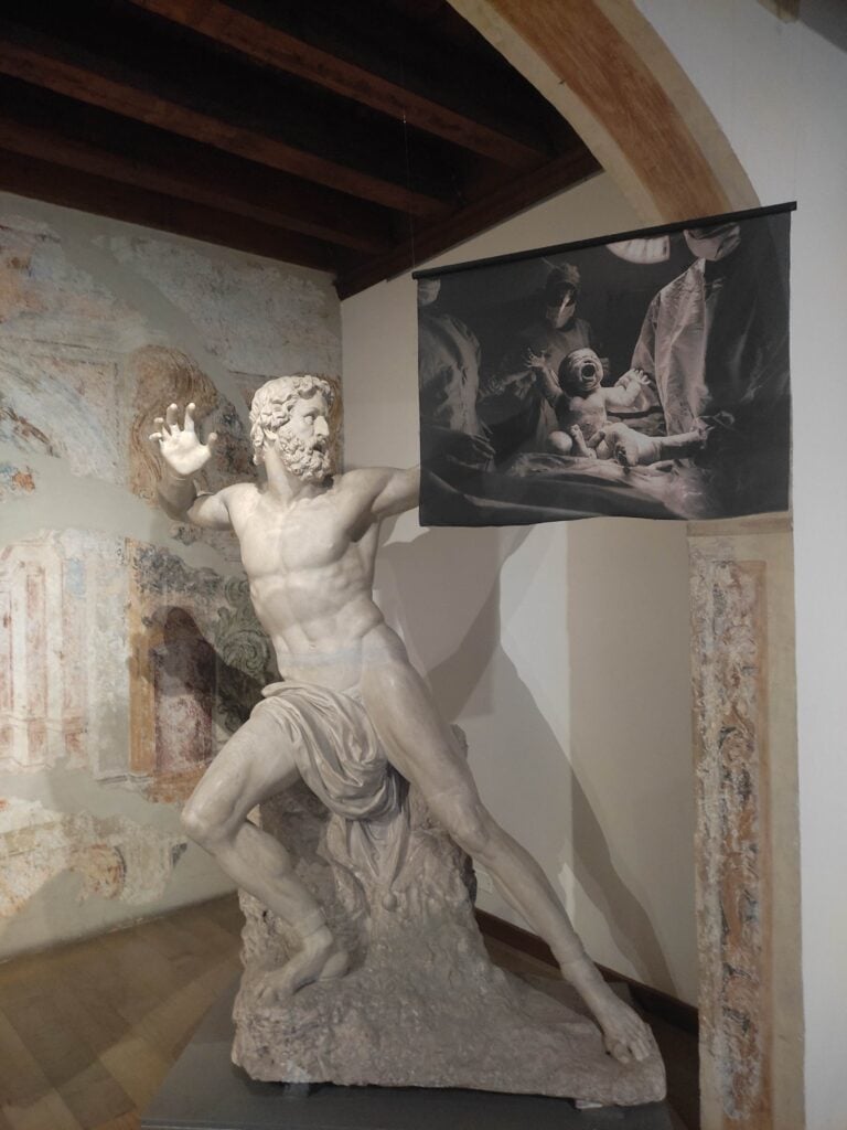 Installation View, Olivia Arthur, Galleria Harry Bertoia, Pordenone