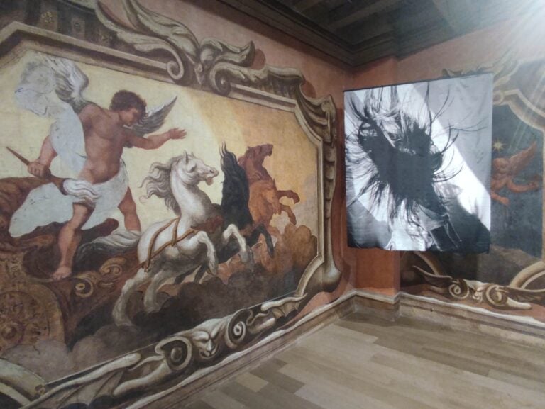 Installation View, Olivia Arthur, Galleria Harry Bertoia, Pordenone