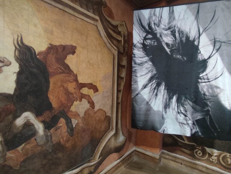 Installation View, Olivia Arthur, Galleria Harry Bertoia, Pordenone