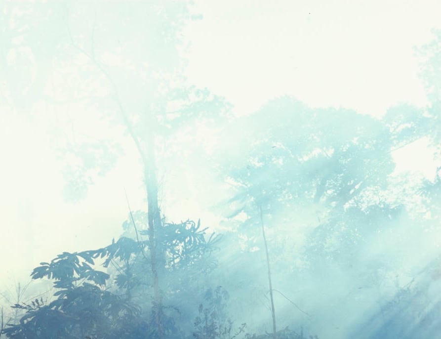 non è una somma di fatti ma un modo di vita