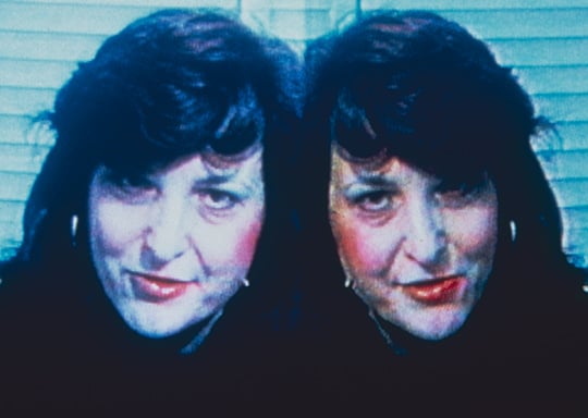 Lynn Hershman Leeson, The Electronic Diaries