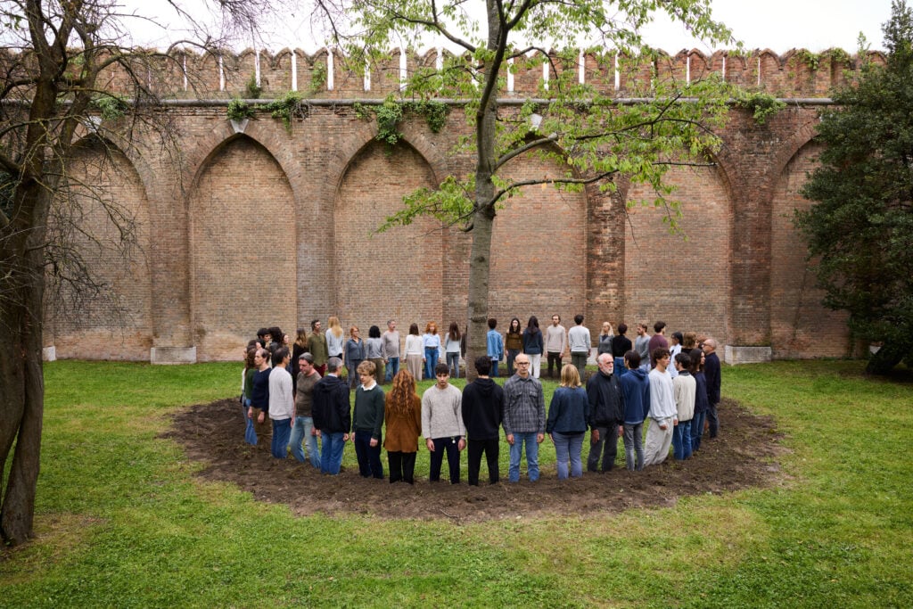 Massimo Bartolini, Audiance for a tree, 2024