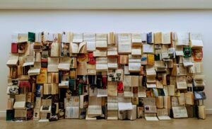 Opiemme - Senza Bandiere V.3.0. Divide et impera