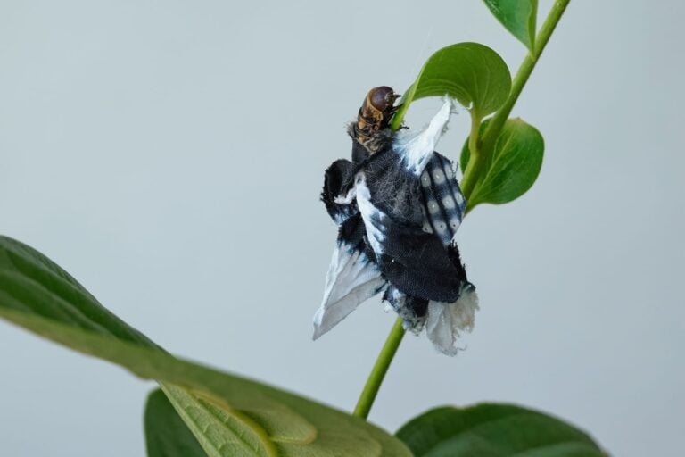 Passing her a piece of cloth