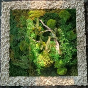 Laura Cerabona - Tra Luce e Materia