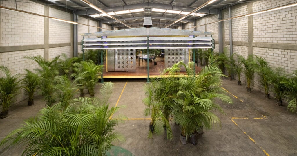 Tutte le mostre del 2026 e del 2027 al Pirelli HangarBicocca di Milano. Grandi eventi, sempre gratis