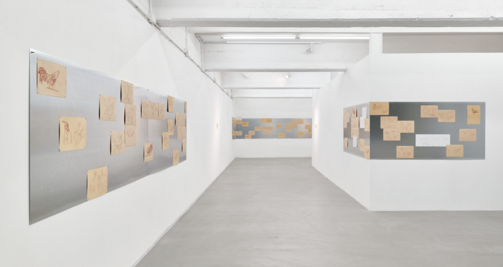 Le mostre da vedere nelle gallerie d'arte di Milano tra dicembre 2025 e gennaio 2026