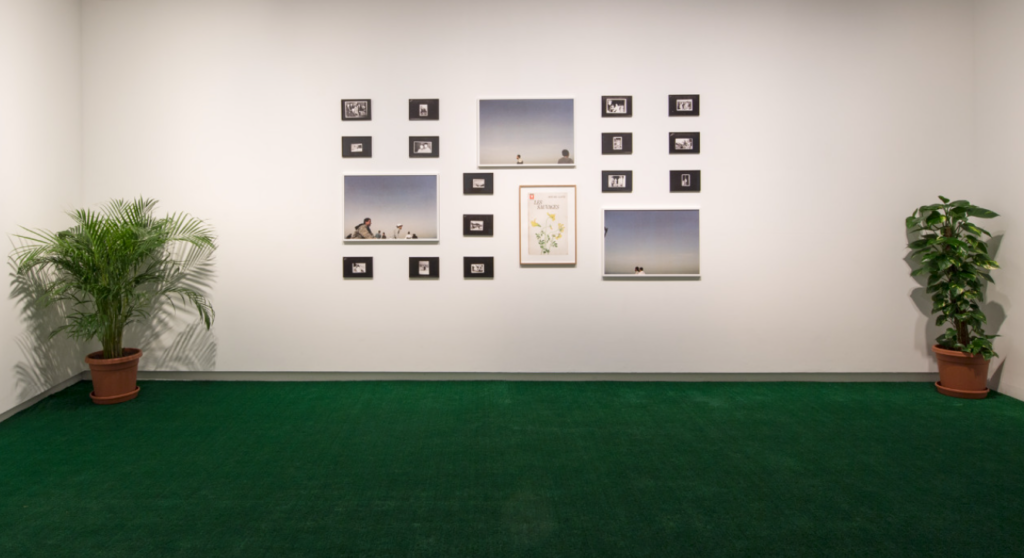 Basma Al Sharif, The Story of Milk and Honey, 2011. Sharjah Art Foundation Collection. Photo: Shanavas Jamalauddin