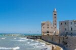 La città di Trani diventa un museo a cielo aperto: l’arte grafica ridisegna il Natale in centro storico