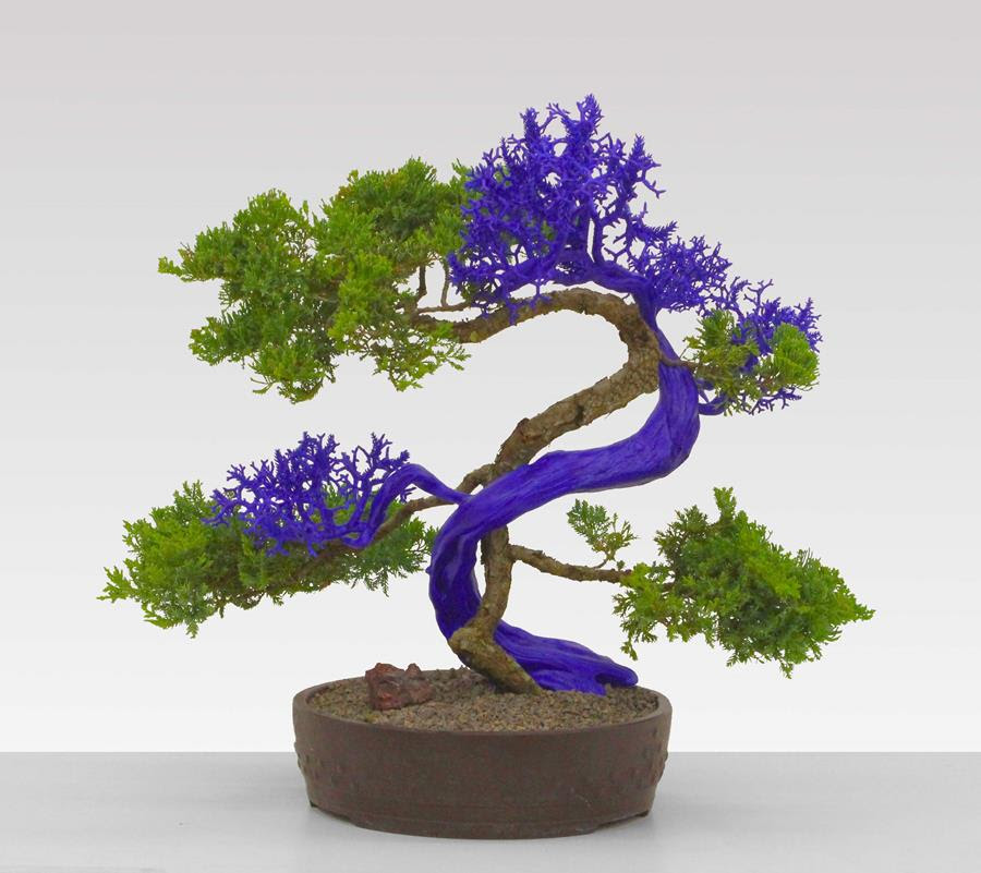 Agnieszka Kurant – Variantology