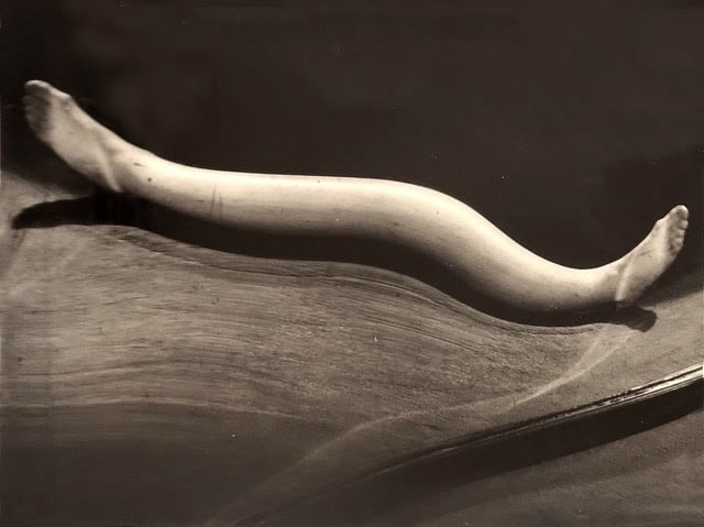 Stanze Private – Figura e Forme