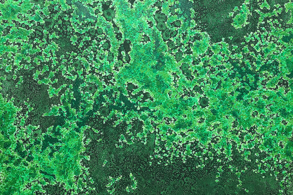 Sergio Sáez – Opere 2010–2025