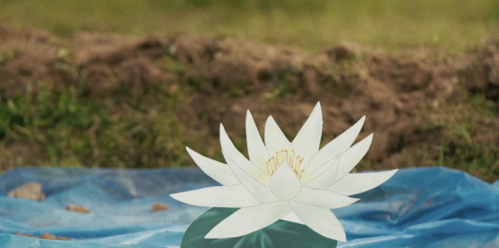 Driant Zeneli – Falling