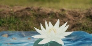 Driant Zeneli - Falling