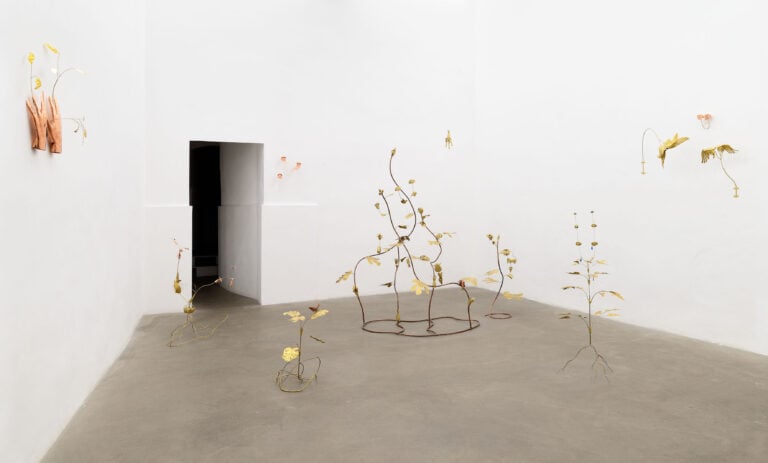 Marginalia, 2025 Installation view at ADA, Rome