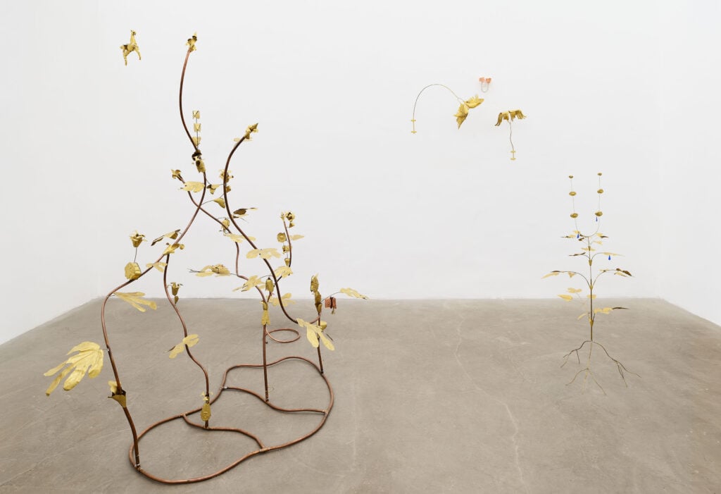 La lingua segreta delle piante secondo l’artista Blanca Gracia in mostra a Roma