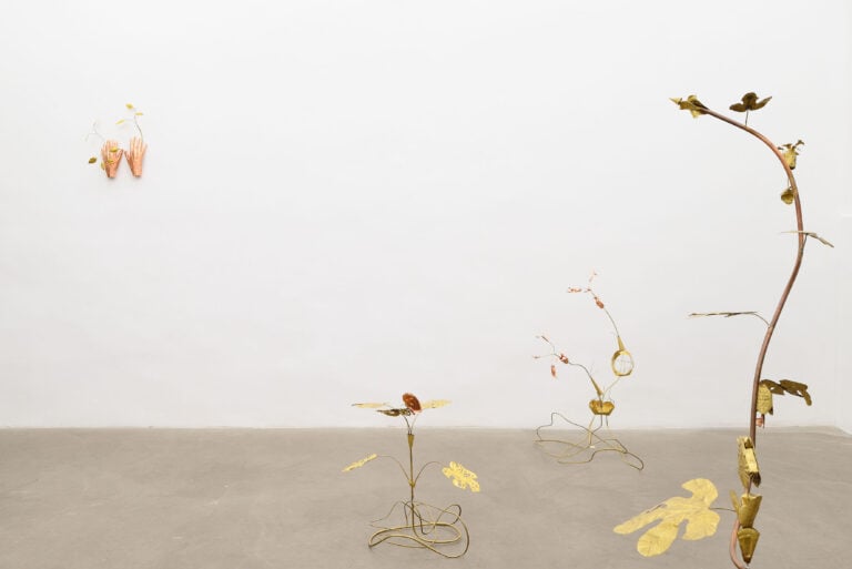 Marginalia, 2025 Installation view at ADA, Rome