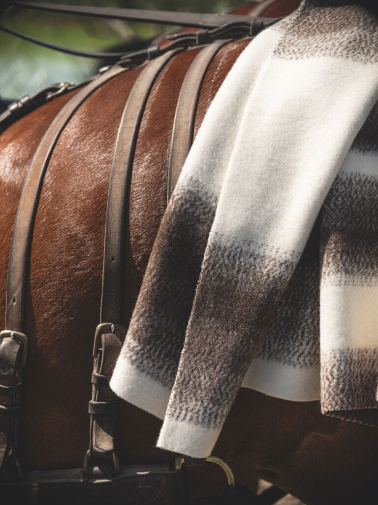 Un&rsquo;alleanza tra scienza e design per i tessuti prodotti con le risorse naturali della Camargue