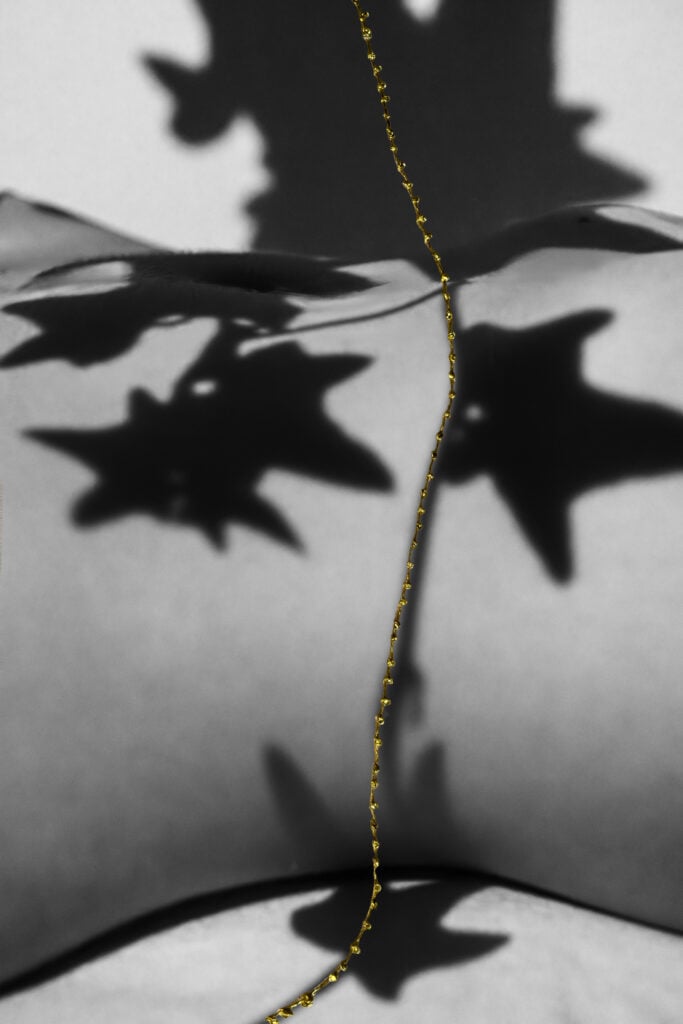 Palazzo Tubertini, Anna Caterina Masotti: Eden. Il giardino dell'anima